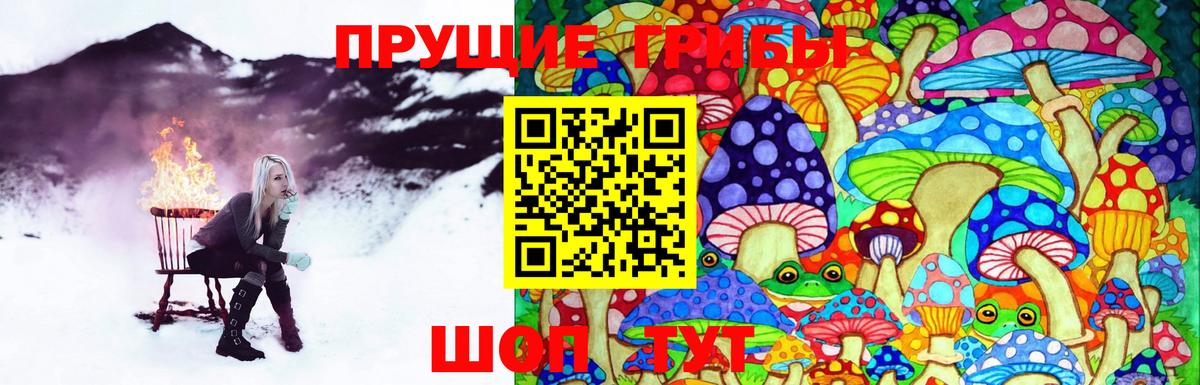Псилоцибиновые грибы Cubensis Альметьевск